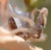 307755 – Photo : Liliane Delattre – France (30)